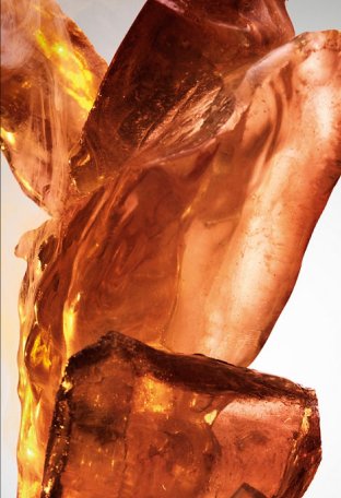 FAME Eau de Parfum - Image 7