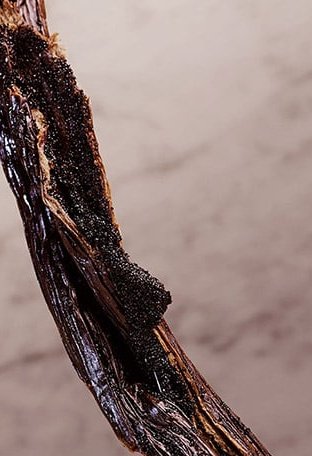 OLYMPÉA Eau de Parfum - Image 6